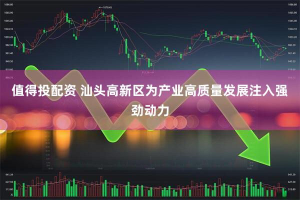 值得投配资 汕头高新区为产业高质量发展注入强劲动力
